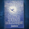 RAIDURI AERIENE ROMANESTI - Constantin Ucrain, Dumitru Craciun-Iasi - Carte Istorie Romania, Transport Gratuit