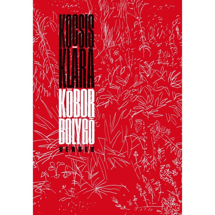 K&oacute;bor bolyg&oacute; - Versek - Kocsis Kl&aacute;ra