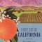 Right Out of California: The 1930s and the Big Business Roots of Modern Conservatism