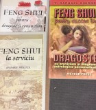LOT 3CARTI FENG-SHUI FENG-SHUI PENTRU DRAGOSTE SI ROMANTISM/PENTRU SUCCES IN DRAGOSTE /LA SERVICIU