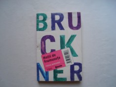 Hotii de frumusete - Pascal Bruckner