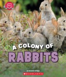 A Fluffle of Rabbits (Learn About: Animals)
