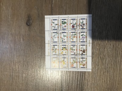 Timbre Diferite Colita foto