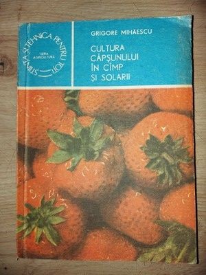 Cultura capsunului in cimp si solarii- Grigore Mihaescu foto