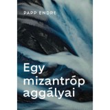 Egy mizantr&oacute;p agg&aacute;lyai - Papp Endre