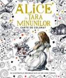 Alice in Tara Minunilor. Carte de colorat/John Tenniel
