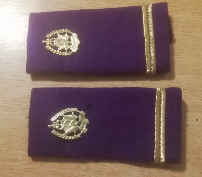 C2 6 - Grade militare - sublocotenent logistica - pioesa de colectie!