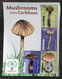 Ciuperci - Guyana 2011 - Coliță Set Complet 4 Timbre Mushrooms of the Caribbean CP1_II