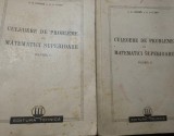 CULEGERE DE PROBLEME DE MATEMATICI SUPERIOARE GUNTHER CUZMIN 2 VOLUME