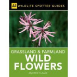 Grassland and Farmland Wild Flowers