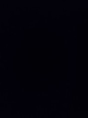 Natura statica in ulei foto