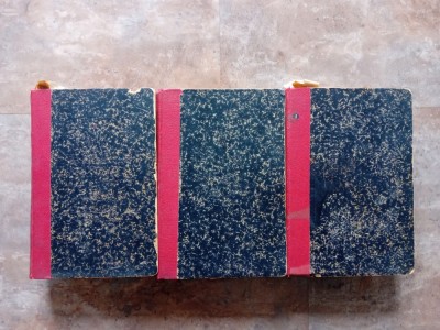 Garibaldi - Roman Istoric in Fascicole, 3 Volume foto