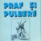 Valentin Silvestru - Praf si pulbere
