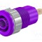 Conector banană 4mm soclu 32A 1kV violet aurit ST&Auml;UBLI