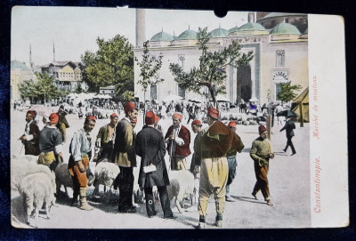 CONSTANTINOPOLE - MARCHE DE MOUTONS - PIATA DE OI , CARTE POSTALA ILUSTRATA , POLICROMA , CIRCULATA , DATATA 1908 , MIC DEFECT A PARTEA SUPERIOARA * foto