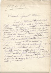 A3404N Document olograf al lui Vladimir M Ghica (1833-1905), fiul Marelui Ban Mihail D Ghica (1794-1850), 1881