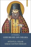 Viata Cuviosului Gheorghe din Drama. Carte Religioasa Crestinism, Editura Sophia. Paperback brosat.