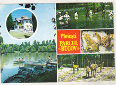 bnk cp Ploiesti - Parcul Bucov - necirculata foto