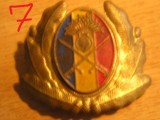 QW14 - Emblema militara / cuc - uscat - anii 1990 - piesa de colectie