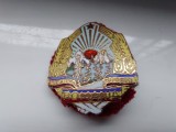 Insigna garzilor patriotice,coifura R.S,R.