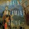 Waking, Dreaming, Being: Self and Consciousness in Neuroscience, Meditation, and Philosophy