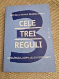 Cele trei reguli cum gandesc companiile exceptionale Michael E. Raynor