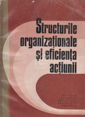 Structurile organizationale si eficienta actiunii foto