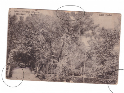 CP Timisoara - Scoala de fete - Gradina (Iskola Noverek Intezete, circulata 1916 foto