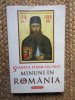 SFANTUL EFREM CEL NOU - MINUNI IN ROMANIA , 2013