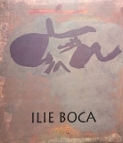 Ilie Boca