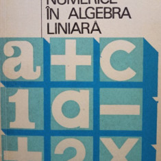 C. Mihu - Metode numerice in algebra liniara (1977)