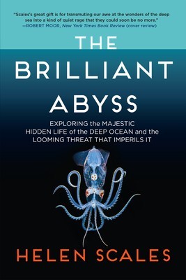 The Brilliant Abyss: Exploring the Majestic Hidden Life of the Deep Ocean, and the Looming Threat That Imperils It foto