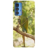 Husa compatibila cu Motorola Edge 20 Lite model Macaw snack, Silicon, TPU, Viceversa, Transparent, Carcasa