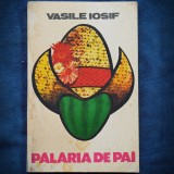 PALARIA DE PAI - VASILE IOSIF