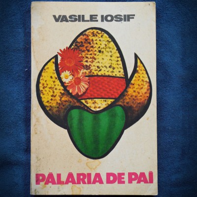 PALARIA DE PAI - VASILE IOSIF foto