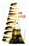 Clopotnita - Ion Druta