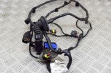 Cablaj ușă dreapta spate MASERATI QUATTROPORTE VI 2014 OEM: 6700075130,06700075130 13695137