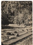 CPI B14294 CARTE POSTALA - SLANIC MOLDOVA. VEDERE DIN PARC, RPR, Circulata, Fotografie