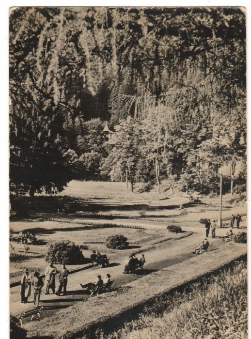 CPI B14294 CARTE POSTALA - SLANIC MOLDOVA. VEDERE DIN PARC, RPR