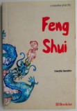 Feng Shui &ndash; Cecilia Serafim