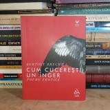 BERTOLT BRECHT - CUM CUCERESTI UN INGER ( POEME EROTICE ) , 2015 #