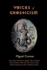 Voices of Gnosticism: Interviews with Elaine Pagels, Marvin Meyer, Bart Ehrman, Bruce Chilton and Other Leading Scholars foto