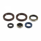 Set garnituri motor compatibil: HUSABERG TE; KTM EGS, EXC, MXC, SX, XC, XC-W 125-200 1984-2016, Athena