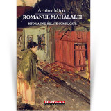 Romanul mahalalei. Istoria unei rela&Aring;&pound;ii complicate - Aritina Micu