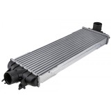 Intercooler Nissan Primastar (02-) 2.5 Dci, Vivaro (01-) 2.5 Dti, Trafic 2 (01-) 2.5 Dci (Diesel), 1449600QAB