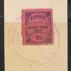 Posta locala Paltinis Hohe Rinne 1903 timbru 2h stampilat fragment de ilustrata