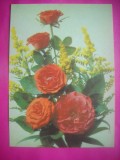 HOPCT 11403 TRANDAFIRI RUSIA -CP FELICITARE FLORI- -NECIRCULATA