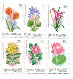 Romania - Flori exotice din Gradina Botanica Bucuresti, 1980 - serie neobliterata