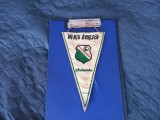 Fanion Legia Varsovia