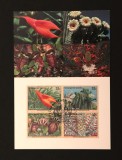 Plic Prima Zi FDC ONU New York 1996 Specii Amenințate Plante Carnivore Cactus Saguaro Masdevallia Bloc 4 Timbre - A992